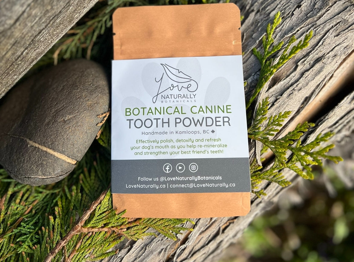 Botanical Canine Tooth Powder