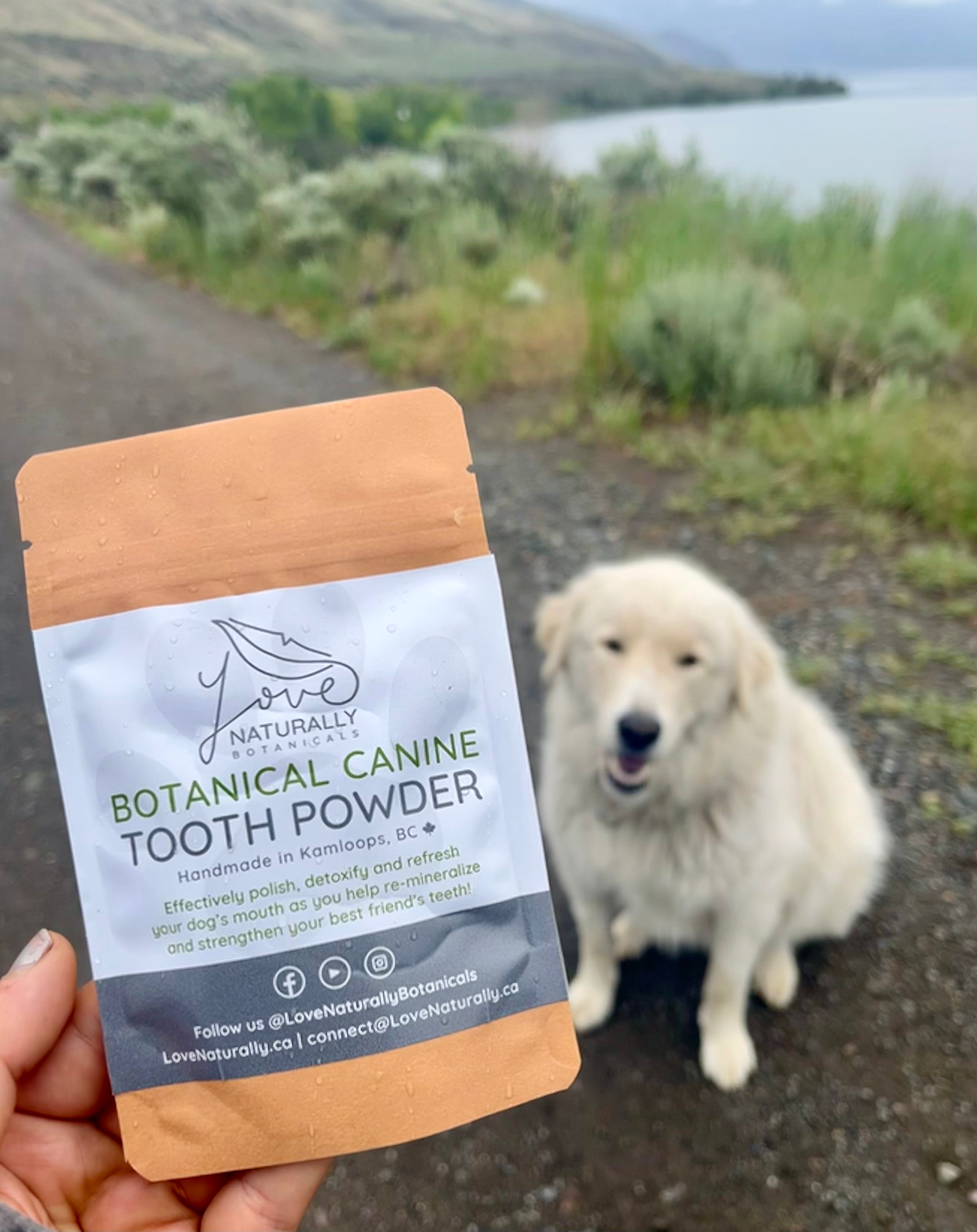 Botanical Canine Tooth Powder